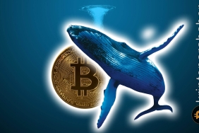Bitcoin yükseliş beklentileri artarken balinalar hareketleniyor! Sebebi ne?