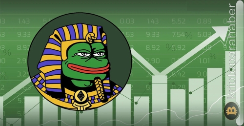 PEPE taklitçisi bu altcoin yüzde 71 artış gösterdi: Analistler bu yükselişi nasıl değerlendiriyor?