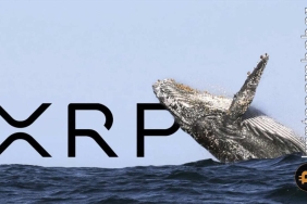 Ripple'ın zaferiyle XRP balinaları 100 milyon token topladı!