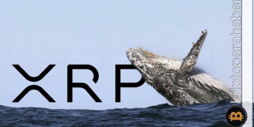 Ripple'ın zaferiyle XRP balinaları 100 milyon token topladı!