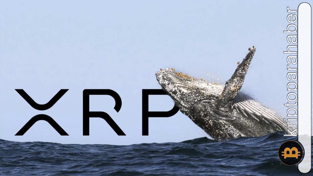 Ripple'ın zaferiyle XRP balinaları 100 milyon token topladı!