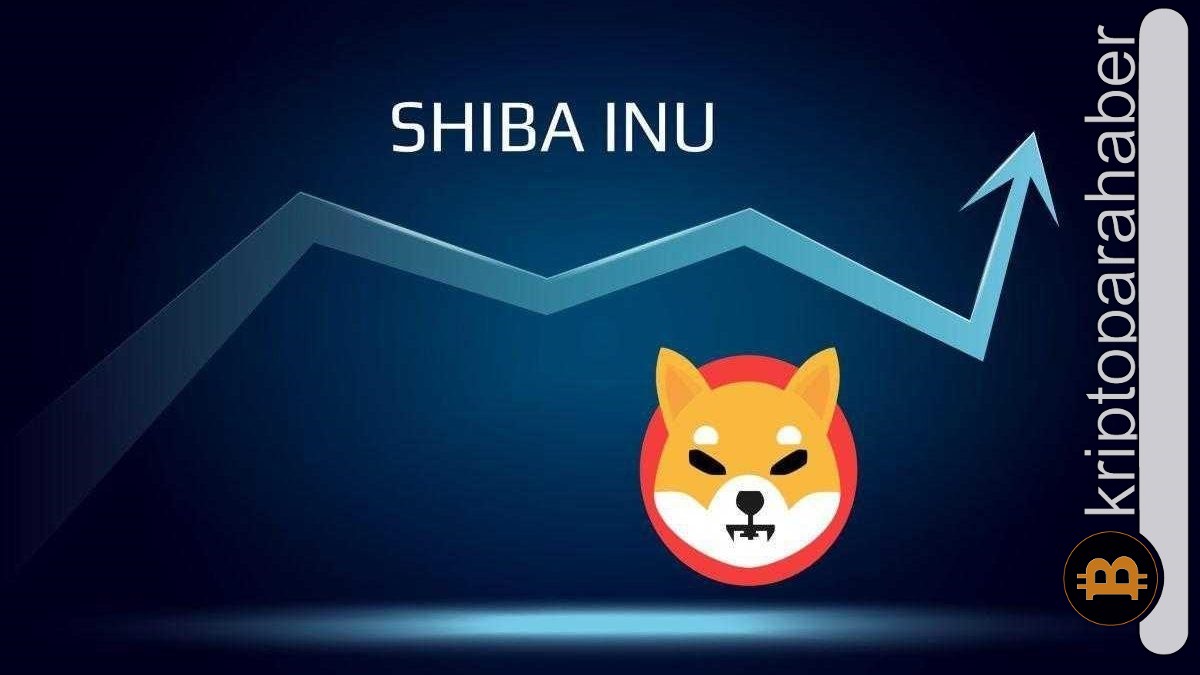 Shiba Inu kritik direnç seviyesini aşabilecek mi?