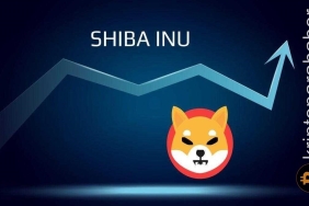 Shiba Inu'da yeni adreslerde inanılmaz artış yaşandı!
