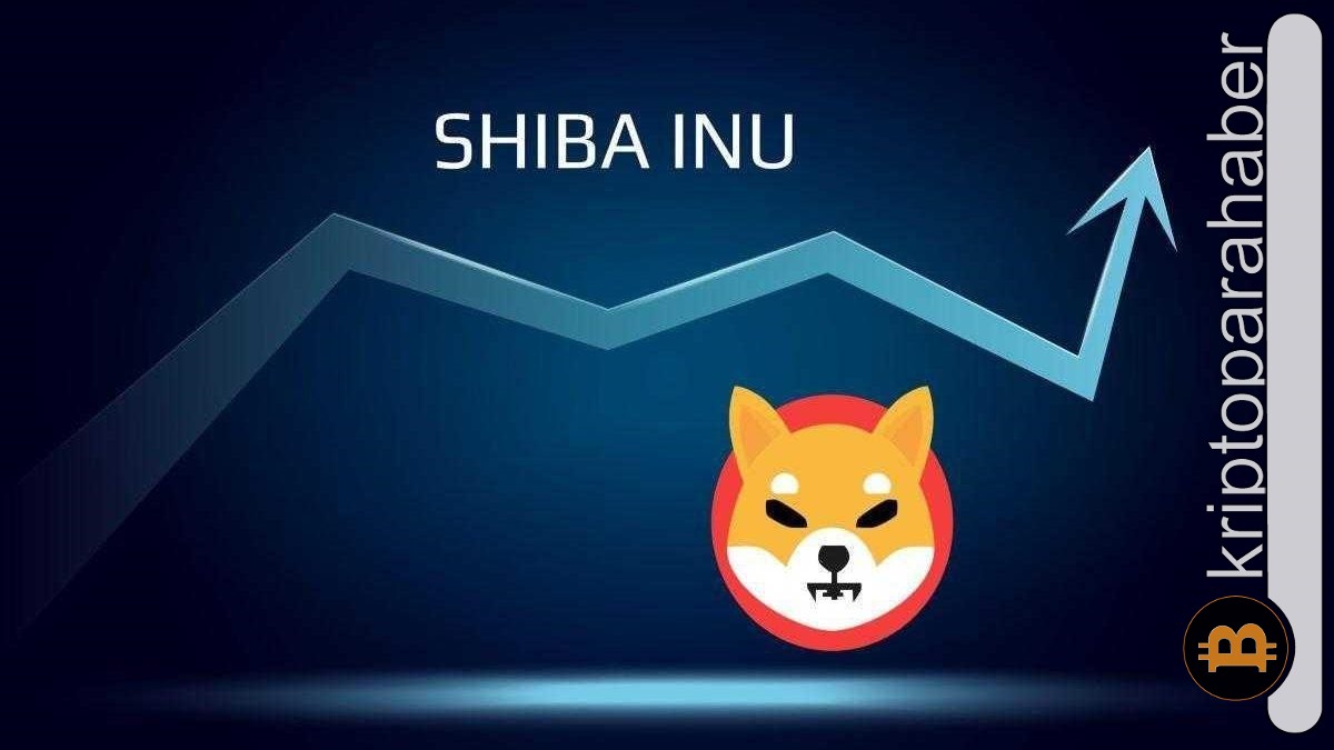 Shiba Inu'da yeni adreslerde inanılmaz artış yaşandı!