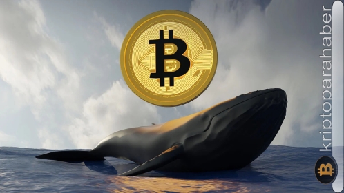 Bitcoin balinaları 3 haftada 71.000 BTC biriktirdi: Bitcoin fiyat yükselecek mi?