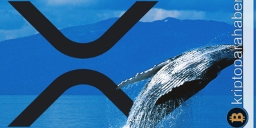 XRP balina birikimi arttı! Fiyat 0,6 dolar seviyesinin üzerine çıkacak mı?
