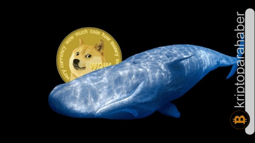 Kripto okyanusunda dev dalgalar: Dogecoin (DOGE) balinalarından büyük bir hamle geldi!