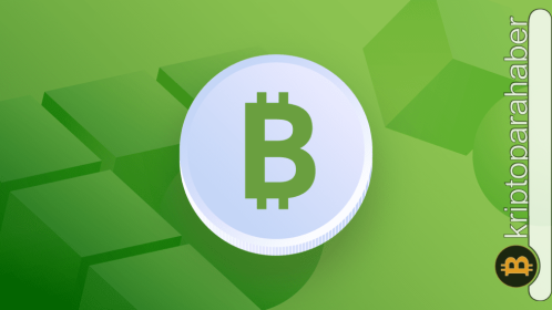 Yatırımcıların güveni yüksek: Bitcoin Cash (BCH), piyasadaki düşüş trendinden yara almadan çıkabilir