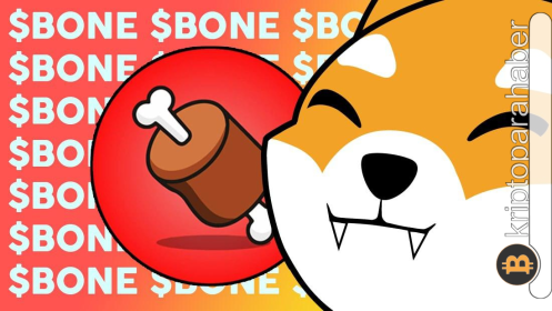 Shiba Inu ekosisteminin sürprizi: BONE yükselişinin arkasındaki 3 olası sebep nedir?