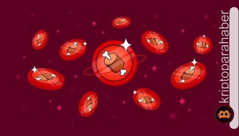 Shibarium heyecanı artıyor: BONE, yüzde 25’lik rallisi ile hafta sonunun yıldızı oldu!