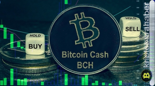 Bitcoin Cash analizi: BCH satış baskısı artıyor, 200 dolarlık destek tehdit altında mı?