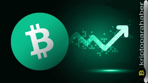 Bitcoin Cash yüzde 15’lik şaşırtıcı bir yükseliş kaydetti: Hızlı yükselişin arkasında ne var?