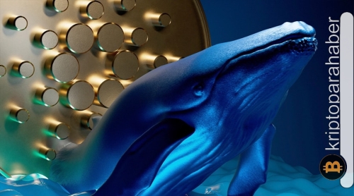 Cardano (ADA) balinaları harekete geçti: Sıradaki rüzgar yükseliş yönünde mi esecek düşüş mü?