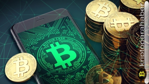 Bitcoin Cash son bir haftada yüzde 7 düştü: BCH için sırada ne var?