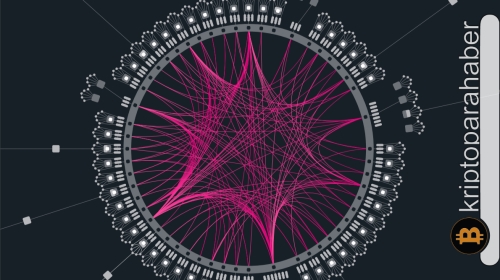 DOT, Ağustos ayına düşüş ile başladı: Yatırımcılar bunu nasıl fırsata çevirebilir?