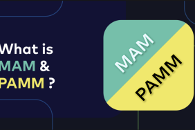 MAM ve PAMM Döviz Hesapları Arasındaki Fark Nedir?