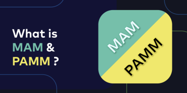 MAM ve PAMM Döviz Hesapları Arasındaki Fark Nedir?