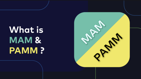 MAM ve PAMM Döviz Hesapları Arasındaki Fark Nedir?