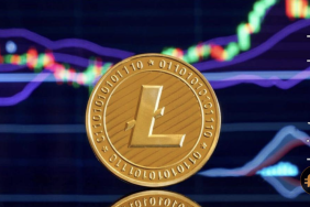 Kripto piyasasındaki yükseliş hareketi Litecoin fiyatını nasıl etkiledi?