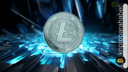 Litecoin (LTC), halving sonrası ayılara teslim: Balinaların stratejisi fiyatı kurtarabilir mi?
