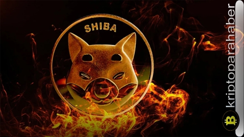 Shiba Inu haberleri: SHIB’in yanma oranı yüzde 100 arttı! İşte altcoinin fiyat tepkisi…