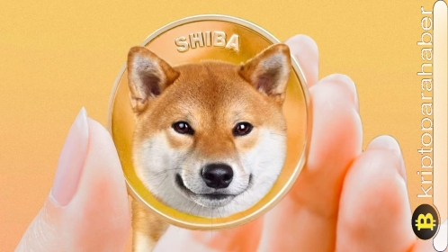 Shiba Inu analizi: SHIB fiyatı, Shibarium lansman sorunlarının ardından 0,00001 dolara geri dönebilir mi?