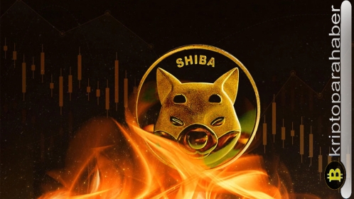SHIB yanma oranı yüzde 309 artarak 350 milyon SHIB dolaşım dışı bırakıldı: SHIB fiyatı yükselecek mi?