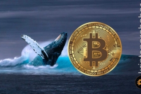 Balinalar harekete geçti: Bitcoin toparlanma sinyali mi veriyor?