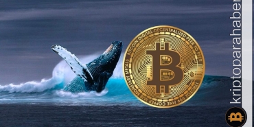 Bitcoin balinalarının sürekli birikimi boğa piyasasına mı işaret ediyor?