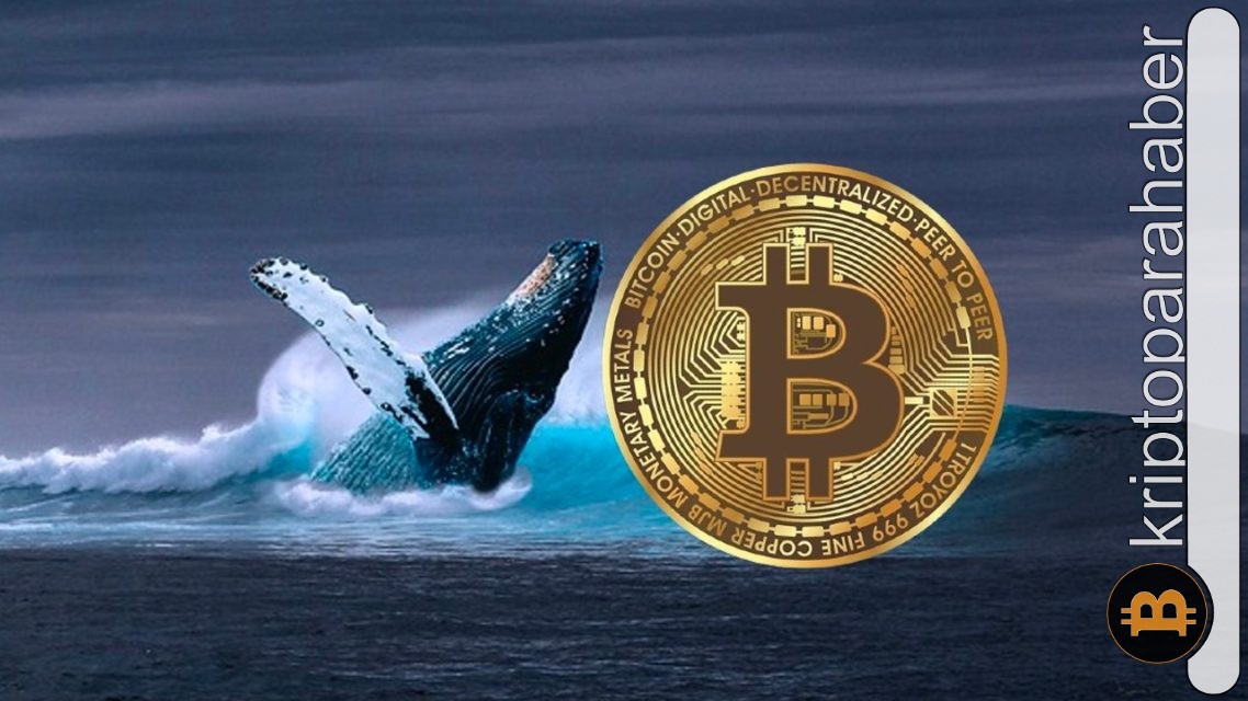 Bitcoin balinalarının sürekli birikimi boğa piyasasına mı işaret ediyor?