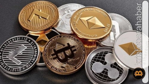 Borroe bu altcoin’leri geçebilir mi? İşte potansiyel yükseliş beklentileri