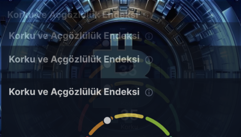 Kripto Para Sektöründe Korku ve Açgözlülük Endeksi Nedir ve Nasıl Kullanılır?