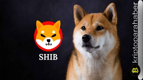 Shiba Inu analizi: SHIB yüzde 15 arttı, altcoin yükselişini sürdürmeye devam edecek mi?