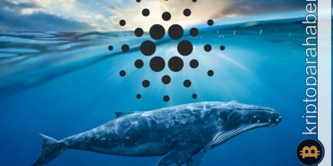 Cardano balinaları hareketlendi! ADA için sırada ne var?