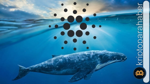 Cardano balinaları hareketlendi! ADA için sırada ne var?