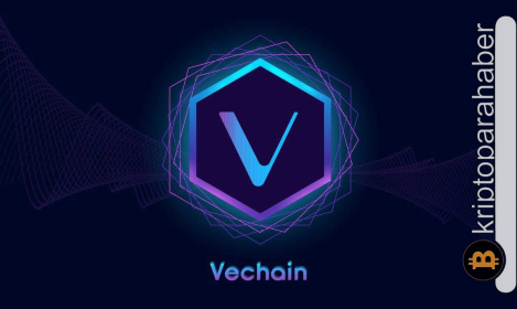 VeChain (VET), VeWorld mobil cüzdan lansmanını duyurdu: Ne gibi yenilikler getirecek?