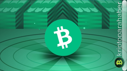 Bitcoin Cash fiyatı kritik destekte: BCH boğaları 220 dolar engelini aşabilir mi?