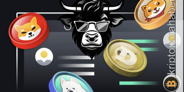 meme coin