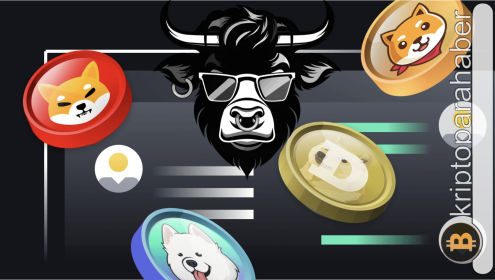 Elon Musk’ın Da X’den Etkileşime Girdiği Meme Coin Ön Satışı 25 Milyon Doları Aştı