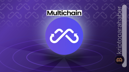 Multichain (MULTI) Nedir?