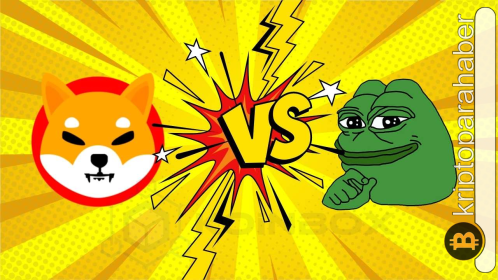 Shiba Inu vs PEPE: Önümüzdeki 6 ayda hangisi daha iyi performans gösterecek?