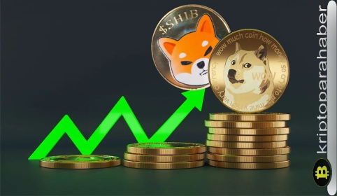 Aşırı satış baskısı, bu 2 altcoin için umut vadediyor: Tersine dönüş mümkün mü?