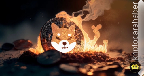 SHIB haberleri: Shiba Inu yanma oranı 24 saatte yüzde 35,87 arttı!