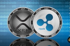 Ripple Başkanı, SEC davasında kararlılığını sürdürüyor: XRP'nin geleceği ne olacak?