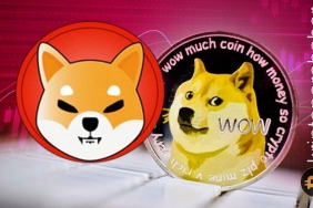 Shiba Inu'nun yükselişi: Dogecoin'e meydan okuma vakti geldi mi?