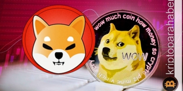 Shiba Inu'nun yükselişi: Dogecoin'e meydan okuma vakti geldi mi?