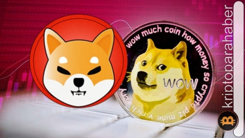 Shiba Inu’nun yükselişi: Dogecoin’e meydan okuma vakti geldi mi?