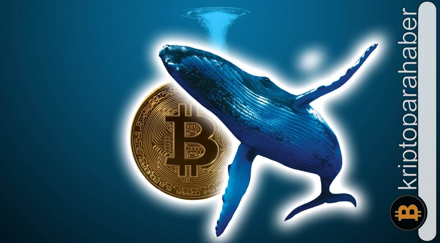 Bitcoin balinaları kripto piyasasının kontrolünü ele geçiriyor!