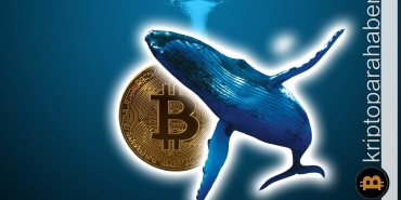 Bitcoin balinaları kripto piyasasının kontrolünü ele geçiriyor!