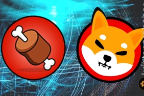 Shiba Inu'da büyük değişim: BONE ve Shibarium ile yeni dönem başlıyor!